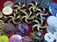 113 Buttons Lots Vintage Rhinestone New Glass Antique Czech Metal Victorian Sew Buttons photo 2