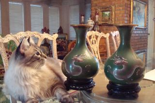 Antique Pair Of Dragon Cloisonne Vases Fine Antiques photo