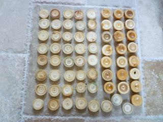 65 Antique Chinese Faux Ivory Draughts / Chequers / Backgammon Pieces C.  1880s photo