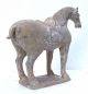 41 - 19: Big Stunning Strong Pottery T - Ang Horse Statue Horses photo 5