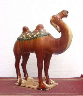 22 - 1: Wonderful Red Sancai Glazed Pottery Camel Statue photo