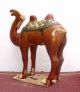 22 - 1: Wonderful Red Sancai Glazed Pottery Camel Statue Other photo 1