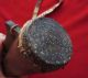 Lovely Vintage Massim Finger Drum,  Trobriand Islands,  Papua New Guinea Pacific Islands & Oceania photo 10