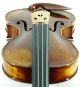 Fine Italian Violin Labeled Gustavo Belli C.  2004 4/4 Old Antique Model.  Violino String photo 6