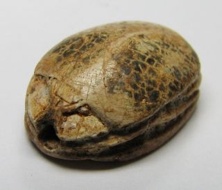 Pc2004uk A Egyptian Scarab Amulet With Hieroglyphics In Steatite S12 photo
