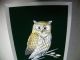 Finest Japanese Sterling Silver Owl In Relief By Takehiko Japan Amazing Details Other photo 5
