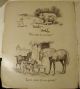 1905 - Friendly Animals By Mcloughlin Bros.  - Worn But Precious Other photo 4