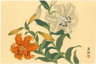 Korin Japanese Woodblock Print Tiger Lilies - Shima Art Co.  1930 photo