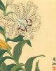 Korin Japanese Woodblock Print Tiger Lilies - Shima Art Co.  1930 Prints photo 2