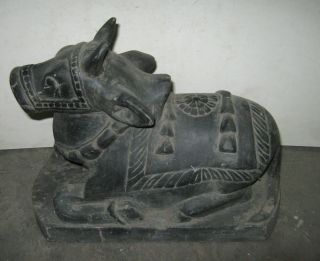 Antique Black Stone Cow Nandini From Dakor In Gujarat photo