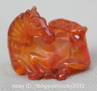 Rare China Chinese Amber Chrysophoron Fengshui 12 Zodiac Year Tang Horse Statue photo