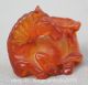 Rare China Chinese Amber Chrysophoron Fengshui 12 Zodiac Year Tang Horse Statue Reproductions photo 1