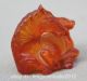 Rare China Chinese Amber Chrysophoron Fengshui 12 Zodiac Year Tang Horse Statue Reproductions photo 4