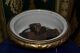 Large Urn Empire Style,  Signed Dung Urns photo 6