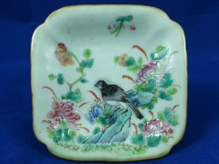 Gorgeous Chinese Famille Rose Small Antique Plate photo