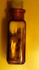Viintage Antique 1800 ' S Sample Medicine Bottle Henry K.  Wampole & Co Usa Bottles & Jars photo 1