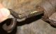 19th Century Forged Leg Iron Shackles Screw Type Barrel Lock; Padlock,  Working Primitives photo 1