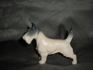 Metzler Ortloff Deutschland Porcelain Dog Figure photo