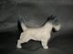 Metzler Ortloff Deutschland Porcelain Dog Figure Figurines photo 2