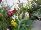 Easter,  Spring Bunny Rabbit,  Eggs Swag Arrangement,  Wreaths Primitives photo 3