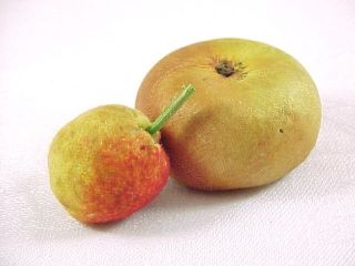Antique Pair Miniature Fruit Sewing Emery Pin Cushions,  Apple,  Cherry photo