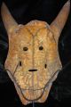 Scrimshaw Carved Skull Mask Timor Indonesia Museum Quality Metal Stand Include Pacific Islands & Oceania photo 2