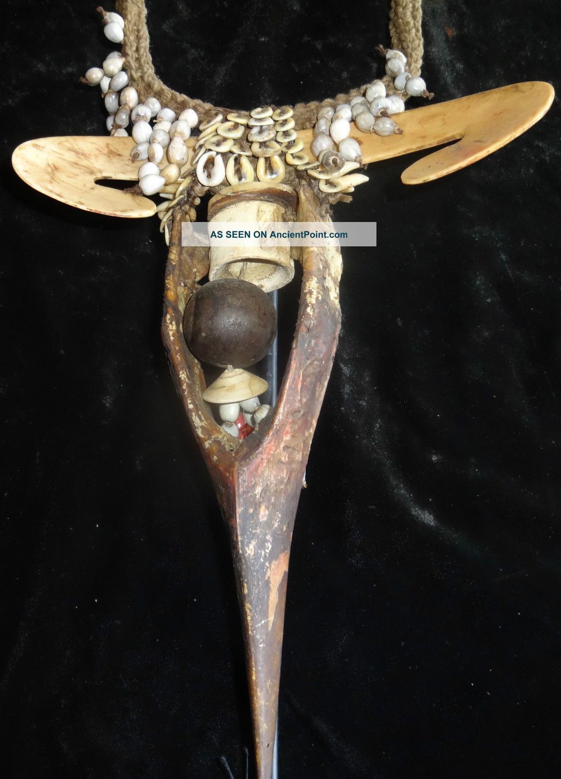 Fantastic Bird Beak Neckless Papua New Guinea Musium Quality Metal Stand Include Pacific Islands & Oceania photo