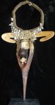 Fantastic Bird Beak Neckless Papua New Guinea Musium Quality Metal Stand Include Pacific Islands & Oceania photo 1