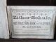 Early Antique Zither Dulcimer Autoharp String Instrument W/ Wooden Case String photo 3