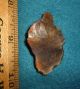 Aterian (neanderthal) Early Man Point,  Ancient African Arrowhead Aaca Neolithic & Paleolithic photo 1