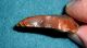Aterian (neanderthal) Early Man Point,  Ancient African Arrowhead Aaca Neolithic & Paleolithic photo 2