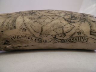 Replica Whale Tooth Scrimshaw 