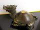 Ancient Chinese Bronze Turtle Statue Turtles photo 4