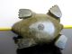 Ancient Chinese Bronze Turtle Statue Turtles photo 5