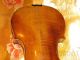 Old 4/4 Italian Violin Gagliano String photo 3