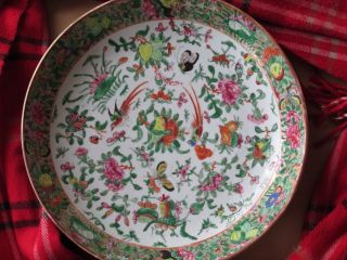Very Rare Hand Painting Old Chinese Plate photo
