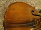 Vintage Jacobus Stainer Violin Facet 17 Very Old K Meyer String photo 3