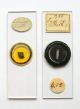 Six Early Miscellaneous Microscope Slides:insect / Marine / Botanical Other photo 1