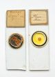 Six Early Miscellaneous Microscope Slides:insect / Marine / Botanical Other photo 3