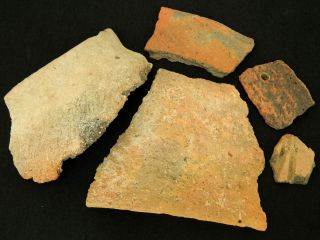 5 Neolithic Terracotta Pot Lips / Pot Crock - 6500 To 2000 Bp - Sahara photo