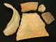 5 Neolithic Terracotta Pot Lips / Pot Crock - 6500 To 2000 Bp - Sahara Neolithic & Paleolithic photo 1