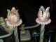 Art Deco Metal Tulip & Paw Feet Candlesticks Metalware photo 3