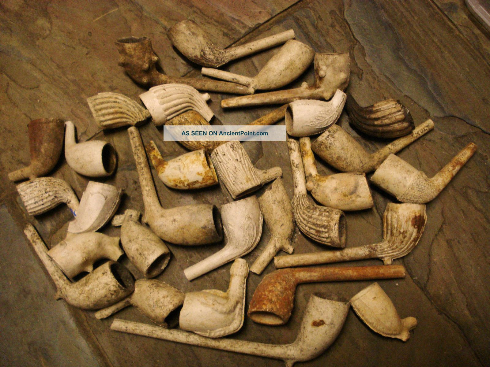 Group Of 31 