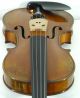 Impressive Italian Violin By Stephano Pacchiarini C.  1999 4/4 Old Antique Violino String photo 6