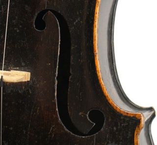 Wonderful Antique Fiddle / Violin,  C 1890 In - Ready To Play photo