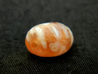 Neolithic Neolithique Agate Bead - 6500 To 2000 Before Present - Sahara photo