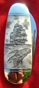 Nautical Scrimshawart,  Tall Ship,  Whales,  2 Blade Folding Knife/knives Scrimshaws photo 1
