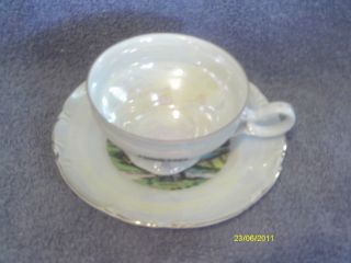 Collectible Tennessee The Volunteer State Saucer & Cup Set How Old? photo