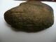 Stone Tool Neolithic Mesolithic With Pathology Neolithic & Paleolithic photo 4