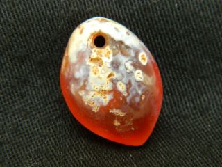 Neolithic Neolithique Agate Pendant - 6500 To 2000 Before Present - Sahara photo